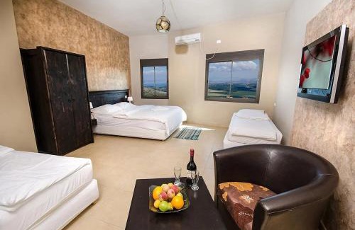 Ein Al-Asad Apartment | אחוזת מצפה שני הימים-וילת 7 חדרים עם בריכה מחוממת וג'קוזי ספא