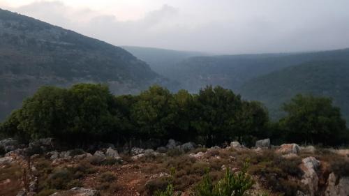 Ma'alot - Tarshiha House | אחוזת נחל כזיב