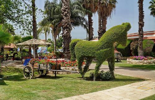 Zippori Cabin | אחוזת ציפורי ספא ואירוח