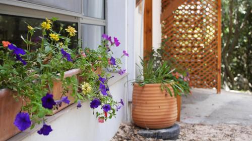 Elqosh Apartment | בין האלונים