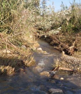 Kfar Tavor Apartment | בין הר למעיין