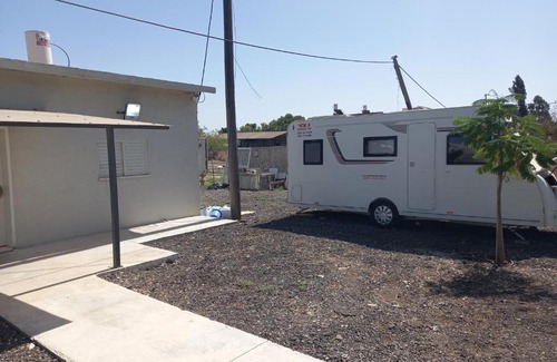 Emek Izrael Other | בין עצי הזית