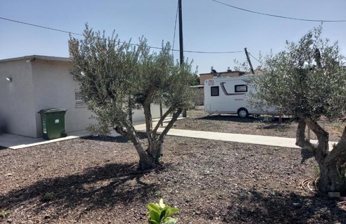 Emek Izrael Other | בין עצי הזית