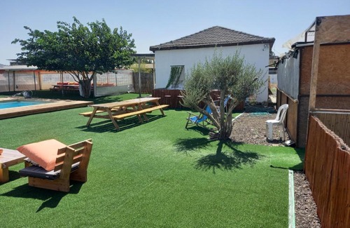 Emek Izrael Other | בין עצי הזית