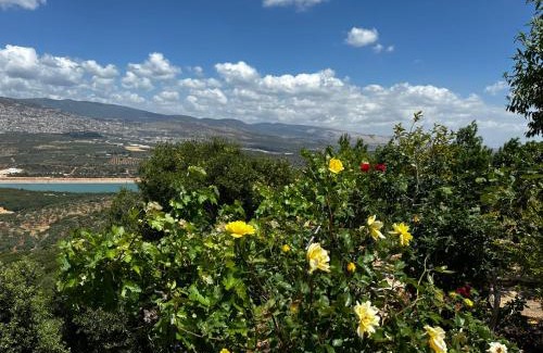 Ilabun Apartment | בית אום ג'מאל - משפחת דגש