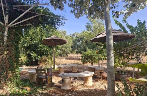 Gilboa Cabin | הסוויטה הפנורמית - Panoramic Suite