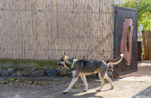 Ne'ot Golan House | הצימר של גברת שקשוקה