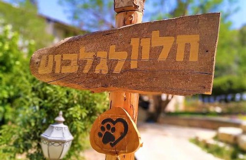 Beit Alfa Apartment | חלון לגלבוע צימר בוטיק בעמק המעיינות