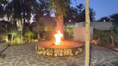 Hof Golan Resort | כפר נופש דוגה - ריזורט קסום על שפת הכנרת