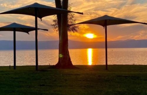 Hof Golan Resort | כפר נופש דוגה - ריזורט קסום על שפת הכנרת