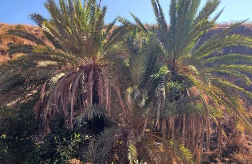 Ramat Tzvi Villa | מול השדות-הווילה