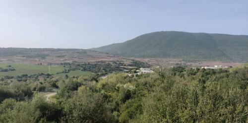 Tsiv'on House | פינה ביער