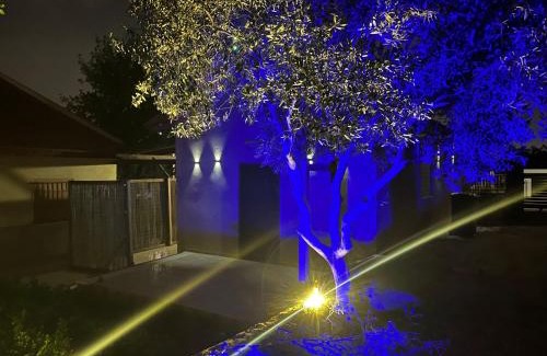 Shezor Hotel | צימרים בצפון-Amores