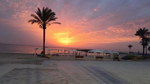 Atlit Cabin | צימר בנימין - Tzimer Benyamin