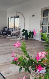 Daliyat al-Karmel Apartment | צימר החורש