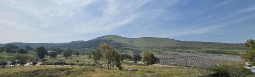 Nurit Bed & Breakfast | צימר המשאלות בגלבוע