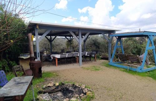 Tabash Bed & Breakfast | שבט אחים - Galilee Bedouin Camplodge - חווית אירוח ייחודית בטבאש