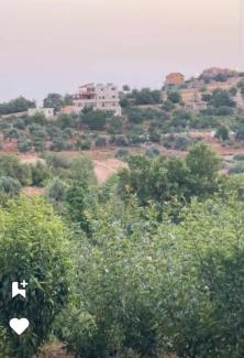 Ajloun Governorate Apartment | أكواخ وشقق عبين السياحيه