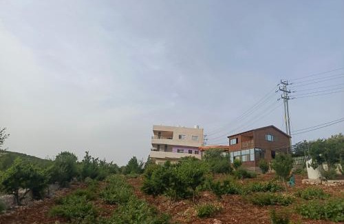 Ajloun Governorate Apartment | أكواخ وشقق عبين السياحيه