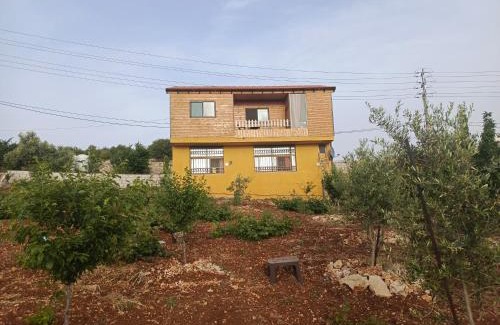 Ajloun Governorate Apartment | أكواخ وشقق عبين السياحيه