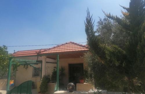 Ajloun Apartment | روابي عجلون منزل
