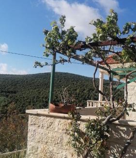 Ajloun Apartment | ريف عجلون