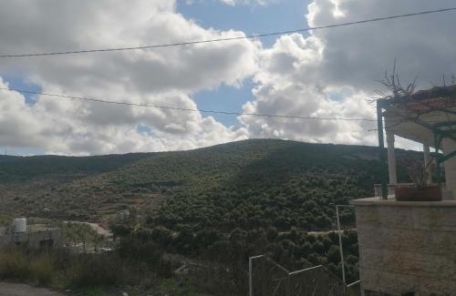 Ajloun Apartment | ريف عجلون