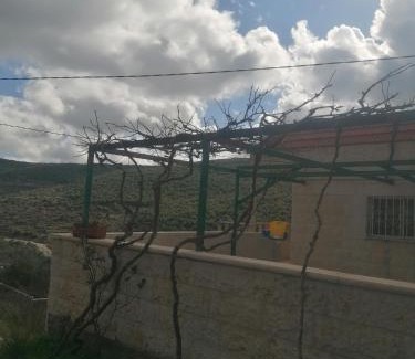 Ajloun Apartment | ريف عجلون