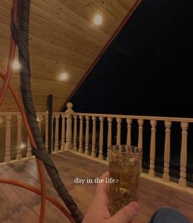 Ajloun Ski Chalet | شاليه وكوخ البركه Albarakah chalets