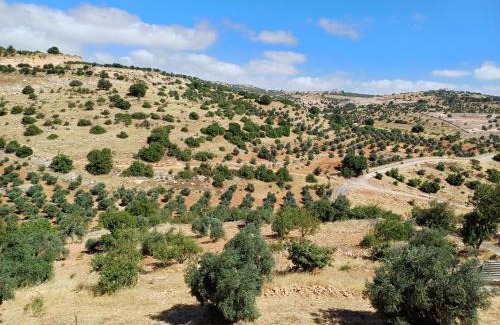 Ajloun Governorate House | عجلون صخره