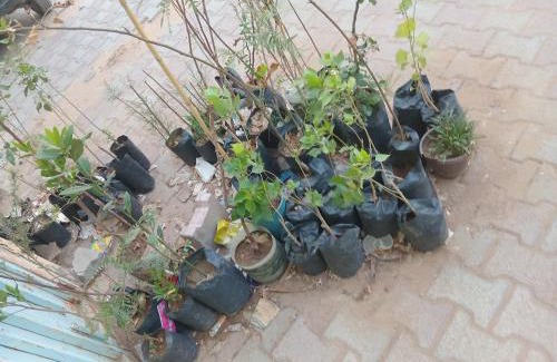 Djelfa Apartment | ولاية الجلفة