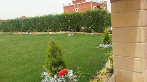 Wadi El Natrun Villa | ڤيلا مميزه بالسليمانيه