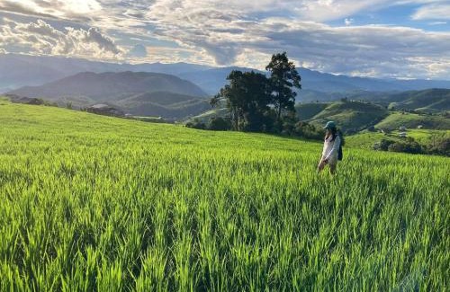 Mae Chaem House | บ้านพักชิปู ป่าบงเปียง