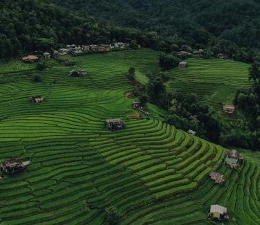 Mae Chaem House | บ้านพักชิปู ป่าบงเปียง