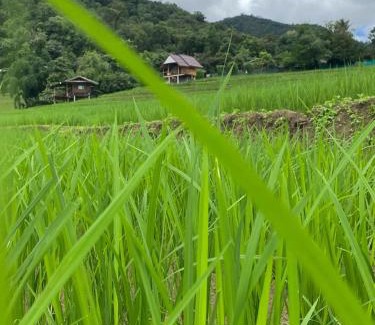 Mae Chaem House | บ้านพักชิปู ป่าบงเปียง