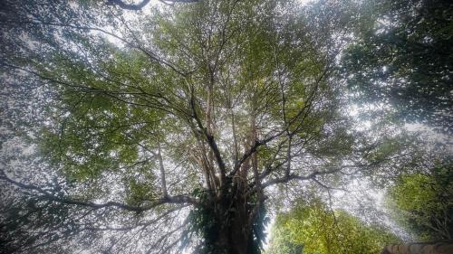 Khun Yuam Resort | บ้านภทรพรรณ ขุนยวม แม่ฮ่องสอน PATARAPHAN HOUSE, Khunyuam, Maehongson, Thailand