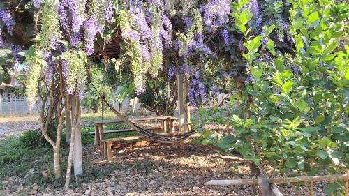 Wang Thong House | บ้านมะลิ