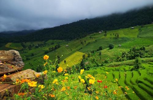 Mae Chaem Other | บ้านยอดแก้ว​ 360​ ​ํ​ ชีวิตริมนา​ ป่าบงเปียง