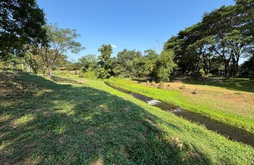 Suan Phueng House | บ้านสวนสาลี่ สวนผึ้ง ราชบุรี