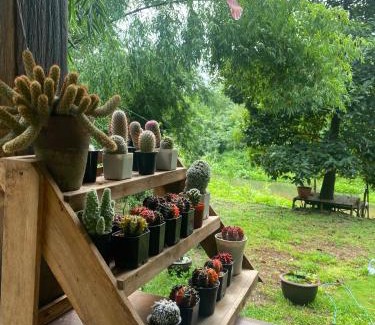 Ban Kha House | บ้านสวนอัญญาวิน