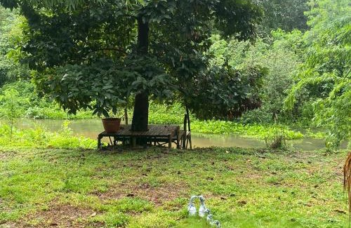 Ban Kha House | บ้านสวนอัญญาวิน