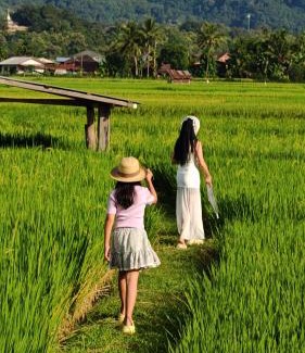 Pua Hotel | บ้านฮิมนาปัวรีสอร์ท