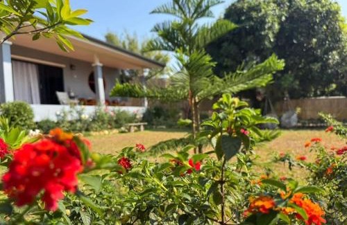 Chiang Dao Villa | ม่อนหมอกเชียงดาว