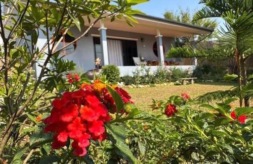 Chiang Dao Villa | ม่อนหมอกเชียงดาว