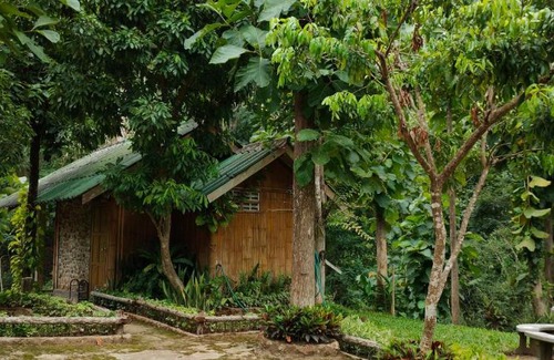 Pang Mu House | ลิ้นฟ้าแคมปิ้งรีสอร์ท