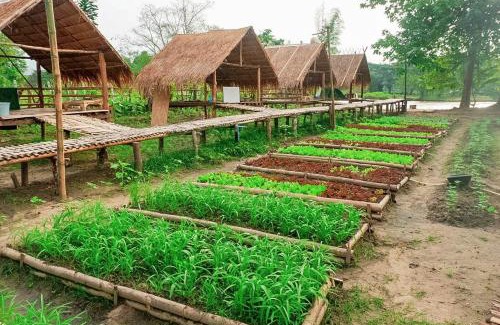 Omkoi House | วันเวลา โฮมสเตย์แอนท์แคมป์ปิ้ง