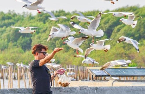 Mueang Samut Prakan District Hotel | สถานตากอากาศบางปู สมุทปราการ Bang Pu Recreation Center Samut Prakan