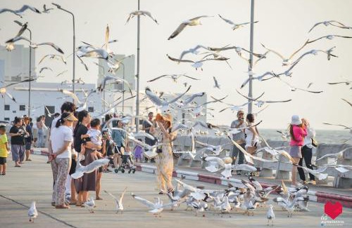 Mueang Samut Prakan District Hotel | สถานตากอากาศบางปู สมุทปราการ Bang Pu Recreation Center Samut Prakan