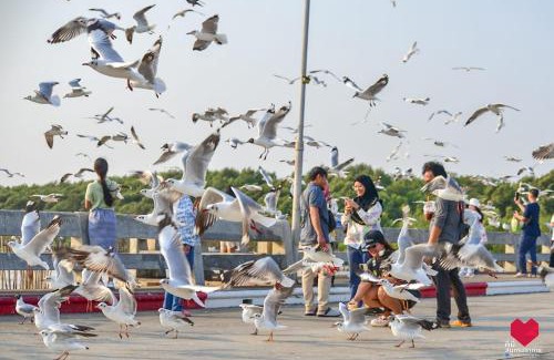 Mueang Samut Prakan District Hotel | สถานตากอากาศบางปู สมุทปราการ Bang Pu Recreation Center Samut Prakan