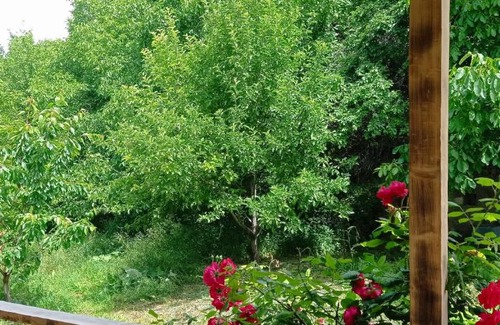 Aspindza Hotel | მესხთა